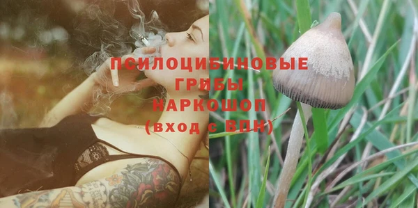 бошки Кулебаки