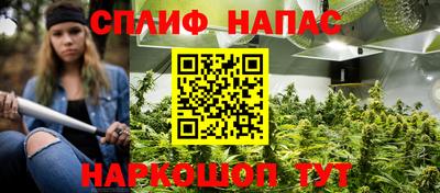 сатива Дубна