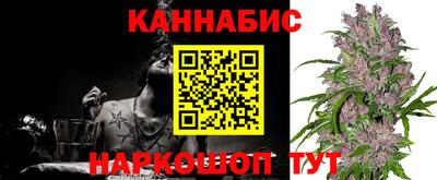 гашик Донецк