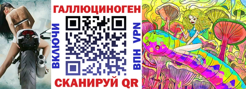 Псилоцибиновые грибы Psilocybe  Чита 