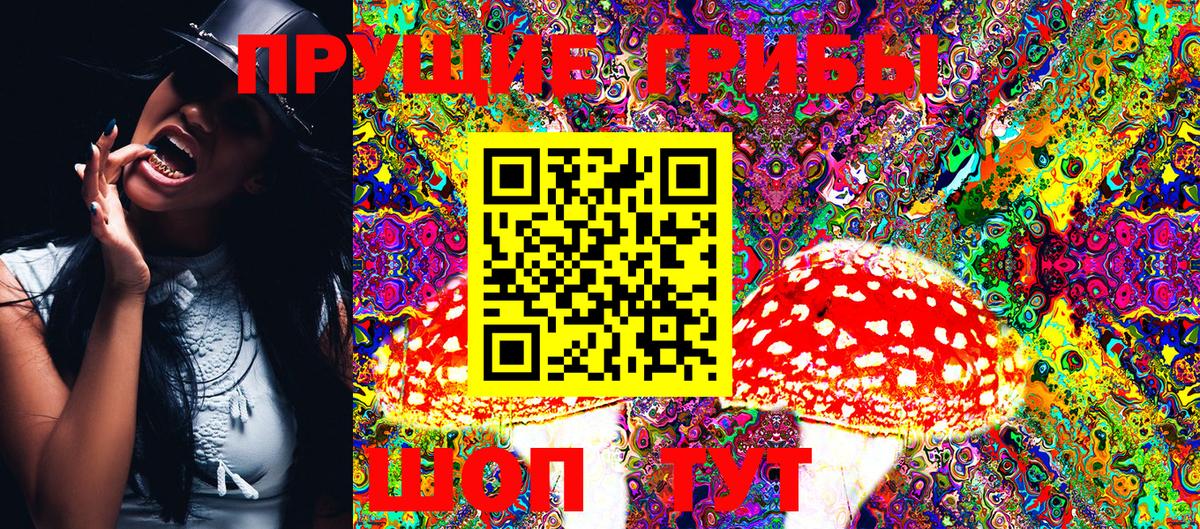 Псилоцибиновые грибы прущие грибы Чита