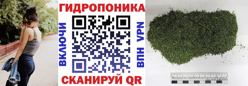 Канабис планчик ОМГ ОМГ ссылка Чита как найти закладки
